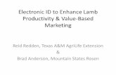 Electronic ID to Enhance Lamb Productivity & Value-Based ... · •Brad Boner –Flock Management •Range Lambing during Summer of 2016 •Lambs Tagged at Marking/Docking •Western