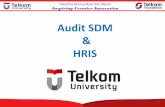 Audit SDM HRIS - ... Audit SDM: Pemeriksaan dan penilaian secara sistematis, objektif dan terdokumentasi terhadap fungsi-fungsi organisasi yang terpengaruh oleh manajemen SDM untuk