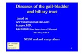 Diseases of the gall-bladder and biliary tractsemmelweis.hu/belgyogyaszat3/files/2017/11/... · Secretion of the bile in the hepatic lobuli :. ... The bile is a pigmented isotonic