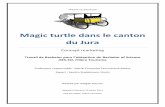Magic turtle dans le Canton du Jura - RERO DOC · solaires électriques, concept marketing, mobilité douce, Jura. Magic turtle dans le Canton du Jura ii Travail de Bachelor Magali