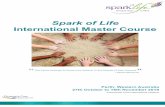 International Master Course · The Spark of Life International Master Course is an assessed course that certifies participants to become Spark of Life Master Practitioners who can