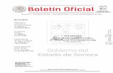 ISAF - Sonoraboletinoficial.sonora.gob.mx/boletin/images/boletinesPdf/2017/... · PROGRAMA DE DESARROLLO INSTITUCIONAL 2017-2024 Hermosillo, Sonora, noviembre de 2017 IS~F INSTITUTO