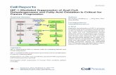 HIF-1-Mediated Suppression of Acyl-CoA Dehydrogenases and ... · HIF-1-Mediated Suppression of Acyl-CoA Dehydrogenases and Fatty Acid Oxidation Is Critical for Cancer Progression