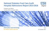 National Diabetes Foot Care Audit Hospital Admissions ... · The National Diabetes Foot Care Audit (NDFA) collects information about the care received by people with active diabetic