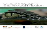 WILDLIFE TRADE IN THE AMAZON REGION - UNEP-WCMC · This factsheet presents a brief overview of trade in CITES-listed wildlife from the Amazonian countries over the period 2005-2014.