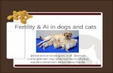 Fertility in dogs and catsvet.kku.ac.th/semvet2550/1Fertility in dogs and cats.pdf · Manual of Small Animal Reproduction and Neonatology. การตรวจหาวันตกไข