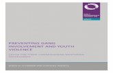 PREVENTING GANG INVOLVEMENT AND YOUTH VIOLENCE · the overlapping and distinct experiences of boys and girls in relation to gang involvement and youth violence. The reasons why young