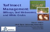 T rf Insect Turf Insect Management - Utah Pests · 2020-02-05 · T rf Insect Turf Insect Management: Billbugs, Sod Webworms, and White Grubs Diane Alston Utah State University Extension