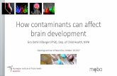 How contaminants can affect brain development · How contaminants can affect brain development Gro Dehli Villanger (PhD), Dep. of Child Health, NIPH Opening seminar of NeuroTox, October