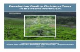Developing Quality Christmas Trees in the Pacific Northwest...the prior year’s terminal node and the current year’s terminal bud(s) are called internodal buds. The internodal buds