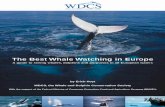 The Best Whale Watching in Europe - Cetacean Habitat · The Best Whale Watching in Europe A guide to seeing whales, dolphins and porpoises in all European waters Researched and written