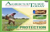 38 - Agriculture Todayagrochemicals.The Indian crop protection market is dominated by Insecticides. However,fungicides and herbicides are the largest growing segments in India owing