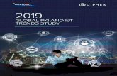 GLOBAL PKI AND IoT TRENDS STUDY - nCipher …...2019 GLOBAL PKI AND IoT TRENDS STUDY 8 In the next two years, an average of 42 percent of IoT devices in use will rely primarily on