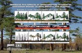 Wildland fire effects in silviculturally treated vs ... · Southwestern forests, particularly those dominated by ponderosa pine (Pinus ponderosa), developed under the influence of