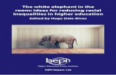 The white elephant in the room: ideas for reducing racial ... · 8 The white elephant in the room: ideas for reducing racial inequalities in higher education recognition and remuneration
