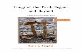 Fungi of the Perth Region and Beyondwanaturalists.org.au/files/2011/11/FieldBook_2017-Edn-final-short.pdf · Mushrooms & Toadstools with Gills J Boletes – Fleshy Mushrooms, ...