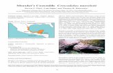 Morelet’s Crocodile Crocodylusmoreletii...Ecology and Natural History Morelet’s crocodile is a medium-sized species (males to 4.5 m; Platt et al., in press) occurring in the Atlantic