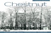 THE JOURNAL OF THE AMERICAN CHESTNUT FOUNDATION€¦ · exceptional skills in the propagation of woody plants and work to restore the American chestnut to the eastern woodlands. Every