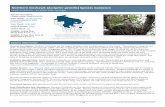 Northern Goshawk (Accipiter gentilis) Species Guidance 2018-10-08¢  Northern Goshawk Species Guidance
