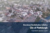 Downtown Revitalization Initiative City of Plattsburgh · 2016-10-05 · Downtown Revitalization Initiative: Overview New York State’s Downtown Revitalization Initiative (DRI) seeks