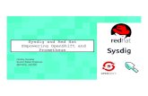 Sysdigand Red Hat Empowering OpenShift and Prometheuspeople.redhat.com/mskinner/rhug/...MSP-RHUG-Sysdig.pdf · R APP R NGINX R - ESS SYSDIG SYSTEMCALLS HOST / OS KERNEL NT ENTATION