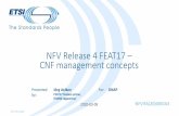 NFV Release 4 FEAT17 CNF management concepts20)000163...•NFV Management and Orchestration (NFV-MANO) aspects at different layers. •Focus: interoperability of NFV solutions. •Details