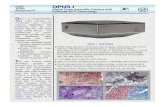 Opus I Brochure - STVdonq/sigma/d/OPUS_I_Brochure.pdf · 2015-11-26 · OPUS I FEATURES uBrilliant, high resolution, photocopy color imaging, featuring the new Foveon X3® Pro 10M