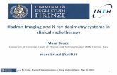 Hadron Imaging and X-ray dosimetry systems in clinical radiotherapy · 2019-05-15 · Hadron Imaging and X-ray dosimetry systems in clinical radiotherapy Mara Bruzzi University of