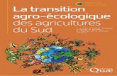 La transition agro-écologique des agricultures du Sudagritrop.cirad.fr/591179/1/ID591179.pdf · les définitions de l’agro-écologie et des défis de développement, notamment