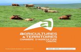 2013 - 2018, - Cantal · • Les différents leviers pour améliorer la rentabilité en éle-vage Bovins Viande. • Le projet stratégique de la Chambre d’agriculture du Cantal