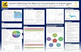 Factors Affecting Fish Mercury Concentration in Inland Lakes · 2019-05-18 · Factors Affecting Fish Mercury Concentration in Inland Lakes Introduction • Mercury (Hg) is a local,
