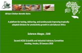 Solomon Abegaz , EIAR - COnnecting REpositoriesA platform for testing, delivering, and continuously improving tropically-adapted chickens for productivity growth in sub-Saharan Africa