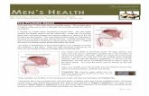HEAL Information Sheet MEN S HEALTH - Lady of Herbs · 2019-08-21 · The cause of enlargement of the prostate gland is the collection of mucus ... as a specific aid to the prostate