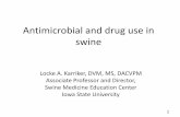 Antimicrobial and drug use in swine · Antimicrobial and drug use in swine Locke A. Karriker, DVM, MS, DACVPM ... • Safety and efficacy of drugs entering the human food supply •