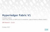 Hyperledger Fabric V1 - 源代码Hyperledger Fabric ‣Blockchain fabric and distributed ledger framework for business –One of multiple blockchain platforms in the Hyperledger Project