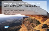 Manage Big Data in Real Real-Time with SAP HANA, Hadoop, R, · Key Hadoop/HIVE Services: Reliable data storage using the Hadoop Distributed File System (HDFS) – structured and unstructured