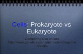 Cells: Prokaryote vs Eukaryote · Prokaryotes Eukaryotes simple and easy to grow can specialize fast reproduction multicellularity all the same can build large bodies Examples of