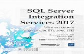 SSIS 2017 développeurs SQL Server SQL Server Integration … · 2018-07-23 · ISSN : 1960-3444 ISBN : 978-2-409-01489-5 54 € Pour plus d’informations : SQL Server Integration