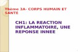 CH1: LA REACTION INFLAMMATOIRE, UNE REPONSE INNEE · Le système immunitaire a pour rôle de protéger l’organisme face aux éléments externes En amont du système immunitaire: