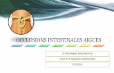 OCCLUSIONS INTESTINALES AIGUESuniv.ency-education.com/uploads/1/3/1/0/13102001/semio3... · 2018-09-07 · OCCLUSIONS INTESTINALES AIGUES Dr MOHAMMED MOKHTAR RIAD FACULTE DE MEDECINE