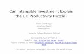 Can Intangible Investment Explain the UK Productivity Puzzle?intangibles e.g. R&D aren’t measured in GDP –But they are in hours –So measured output per hour looks low •Post-2000