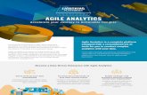 Become a Data-Driven Enterprise with Agile AnalyticsBecome a Data-Driven Enterprise with Agile Analytics Get to work on your data immediately ... data analysis Increase the productivity