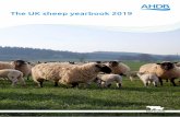The UK sheep yearbook 2019 - Microsoft...3 Chapter 1 – Introduction Some of the statistics in the latest edition of the UK sheep yearbook underplay the fact that, despite high prices