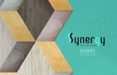 Synergy Company Profile - Synergy Business Events · Company Profile. Our extensive 7-year experience managing local and international events and exhibitions with a highly-skilled