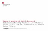Grade 4: Module 1B: Unit 1: Lesson 2 Establishing Reading ... · GRADE 4: MODULE 1B: UNIT 1: LESSON 2 Establishing Reading Routines: Love That Dog. Pages 1–5 and “The Red Wheelbarrow