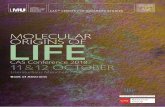 MoLecuLar LIFE - emergence-of-life.de€¦ · CAS Conference 2018 Molecular Origins of Life Thu 11 Life is a dissipative non-equilibrium structure that requires constant consumption