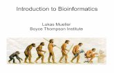 Introduction to Bioinformatics · Bioinformatics deals with algorithms, databases and information systems, web technologies, artificial intelligence and soft computing, information