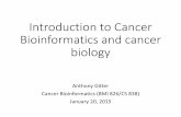 Introduction to Cancer Bioinformatics and cancer …gitter/BMI826-S15/slides/...Introduction to Cancer Bioinformatics and cancer biology Anthony Gitter Cancer Bioinformatics (BMI 826/CS