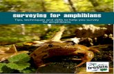 surveying for amphibians - Froglife · ‘Surveying for Amphibians’ is a handy guide which summarises key ID features of common amphibian species, and provides you with important