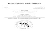 FLORIDA FOSSIL INVERTEBRATESfloridapaleosociety.com/wp-content/uploads/2012/02/FFI...FLORIDA FOSSIL INVERTEBRATES ISSN 1536-5557 Florida Fossil Invertebrates is a publication of the